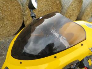 Image 8/40 of Triumph DUMMY (2006)