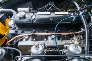 Afbeelding 44/50 van Austin-Healey 3000 Mk I (BN7) (1960)