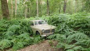 Bild 15/19 von Volvo Amazon P121 (1967)