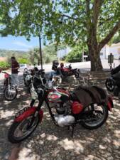 Image 50/51 of BSA B 44 (1966)