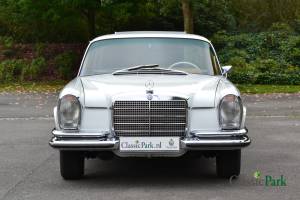Bild 8/50 von Mercedes-Benz 280 SE (1973)