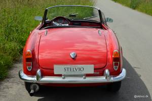 Bild 11/21 von Alfa Romeo Giulia 1600 Spider (1964)