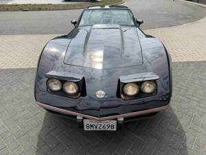 Bild 11/50 von Chevrolet Corvette 25th Anniversary (1978)