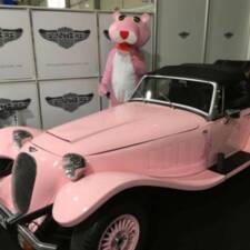 Image 12/12 of Panther Kallista (1983)