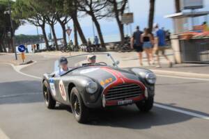 Image 18/29 of AC Ace Bristol (1957)