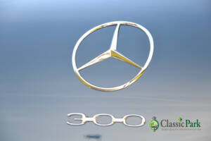 Bild 50/50 von Mercedes-Benz 300 d Cabriolet D (1958)