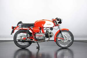 Immagine 5/50 di Aermacchi Ala Verde (1964)