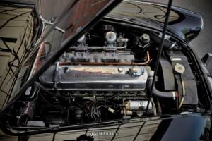 Immagine 21/68 di Austin-Healey 3000 Mk I (BT7) (1959)