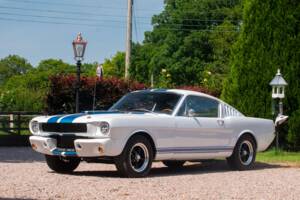 Bild 8/50 von Ford Shelby GT 350 (1965)