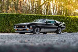 Immagine 10/48 di Ford Mustang Boss 351 (1970)