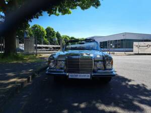 Imagen 37/52 de Mercedes-Benz 280 SE 3,5 (1970)