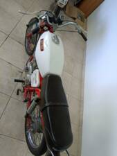 Image 11/29 de Moto Guzzi Stornello 160 (1972)