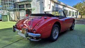 Imagen 11/53 de Austin-Healey 3000 Mk III (BJ8) (1965)