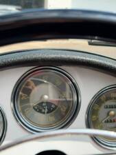 Afbeelding 11/13 van Alfa Romeo Giulietta Spider (1961)