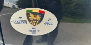 Bild 5/88 von FIAT 1100-103 TV (1955)