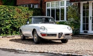 Bild 1/35 von Alfa Romeo 1600 Spider Duetto (1967)