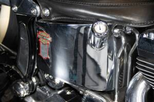 Immagine 45/50 di Harley-Davidson FXSTS Softail Springer (2000)