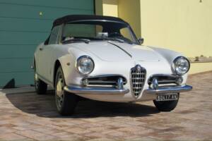 Bild 8/30 von Alfa Romeo Giulietta Spider (1961)