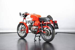 Immagine 2/50 di Aermacchi Ala Verde (1964)