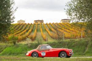 Bild 42/45 von Jaguar XK 120 SE OTS (1954)