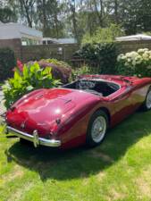 Bild 34/150 von Austin-Healey 100/4 (BN1) (1955)