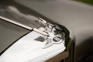 Image 29/50 of Bentley S 3 Continental (1962)