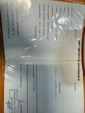 Afbeelding 18/51 van FIAT 1200 Granluce (1960)