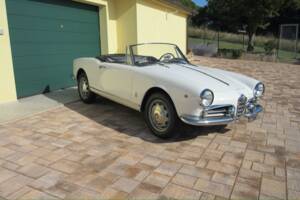 Bild 4/30 von Alfa Romeo Giulietta Spider (1961)