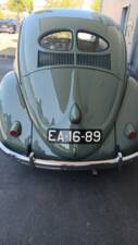 Bild 13/54 von Volkswagen Beetle 1100 Standard (Brezel) (1950)