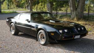 Afbeelding 1/69 van Pontiac Firebird TransAm (1979)