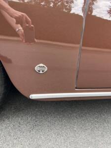 Image 19/30 of BMW 502 Sport (1955)