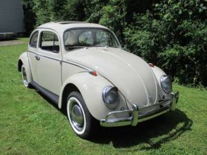 Image 26/39 of Volkswagen Maggiolino 1200 Export "Dickholmer" (1964)