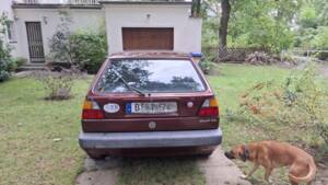 Image 9/9 of Volkswagen Golf Mk II 1.6 (1991)