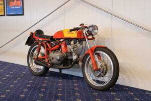 Image 2/27 of Aermacchi Ala Verde (1962)