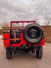 Immagine 3/14 di Jeep Willys-Overland CJ-3A (1949)