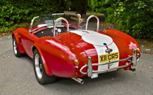 Image 12/50 de AC Cobra 289 (2000)