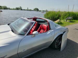 Bild 26/37 von Chevrolet Corvette 5.0L (1979)