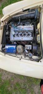 Image 14/37 of Alfa Romeo Spider Veloce 2000 (1982)