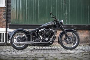 Afbeelding 9/15 van Harley-Davidson Heritage Softail Nostalgia FLSTN (1991)