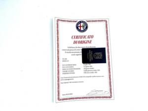 Afbeelding 17/50 van Alfa Romeo RZ (1993)