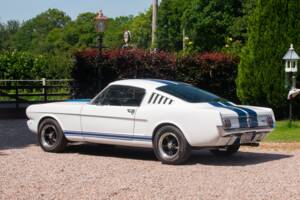 Bild 19/50 von Ford Shelby GT 350 (1965)