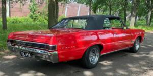 Bild 8/8 von Pontiac Tempest Le Mans (1965)