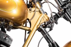 Bild 10/38 von Harley-Davidson DUMMY (2009)