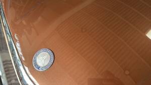 Image 46/56 of Mercedes-Benz 450 SL (1976)