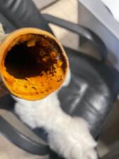 Bild 82/96 von Alfa Romeo 1900 C Super Sprint Touring (1954)