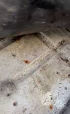 Afbeelding 24/54 van Citroën 2 CV 6 Club (1985)