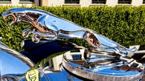Bild 5/19 von Jaguar Mk IV 2,5 Liter (1948)