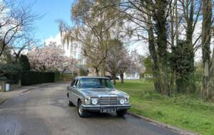 Image 15/24 of Mercedes-Benz 250 (1971)