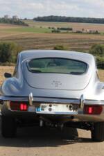 Bild 17/38 von Jaguar E-Type (2+2) (1968)