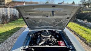 Immagine 40/56 di Dodge Charger R&#x2F;T 440 (1969)